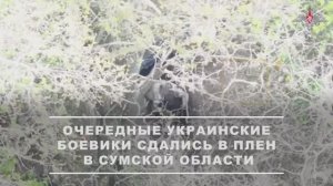 Очередные украинские боевики сдались в плен подразделениям группировки войск «Север»