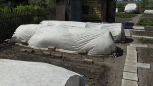 Жара и сильный ветер, Барнаул, 23 мая.