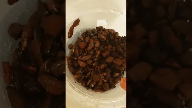 Болталка.Что делать с редиской?💚Tanya MAMS💚 в прямом эфи? смотреть онлайн