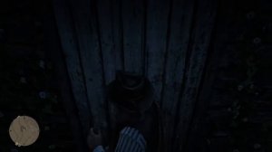 Придорожный бордель мадам Мозель. Red Dead Redemption 2.