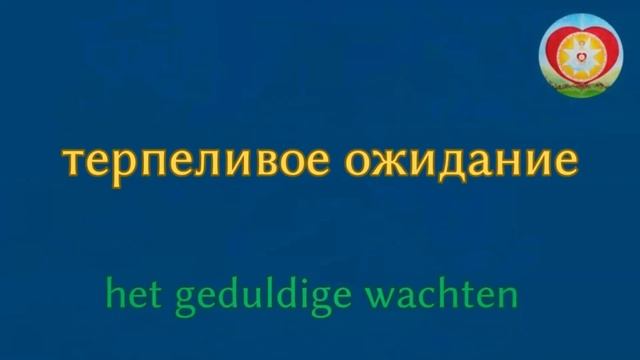 ЗАПИСЬ ОНЛАЙН ЗАНЯТИЯ ПО ПРИЛАГАТЕЛЬНЫМ смотреть онлайн