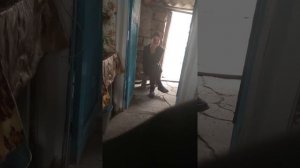 Моя бабушка да дед ругаются