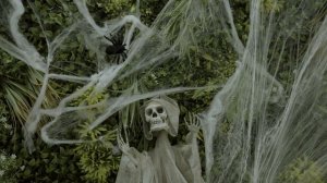 12588182_3840_2160_25fps