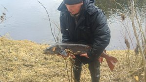 ТАЙМЕНЬ СЕВЕРНОГО УРАЛА. Рыбалка в конце апреля на горной реке.