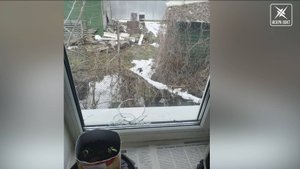 Из-за конфликта с соседями жизнь семьи из д. Исаково превратилась в ад