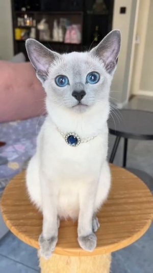 Красотка❤️