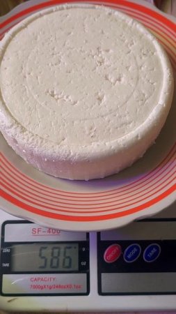 Сколько адыгейского 🧀 сыра из 3-х литров камерунского 🥛 молока