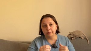 Смешанное питание: корм с натуралкой! А как же кислотн?