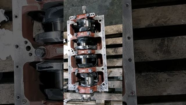 установка коленвала на д 245 смотреть онлайн