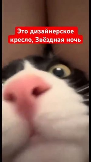 Это дизайнерское кресло, звёздная ночь называется
