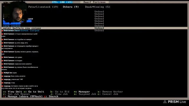 Dwarf Fortress: окружены, но не сломлены смотреть онлайн