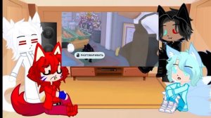 Реакция Разноцветных Котов Бискаса на Блэк Кити в Биг