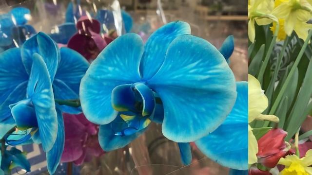 Волшебство полимерной глины. Сокровища магазина Lowes, секонда не только…