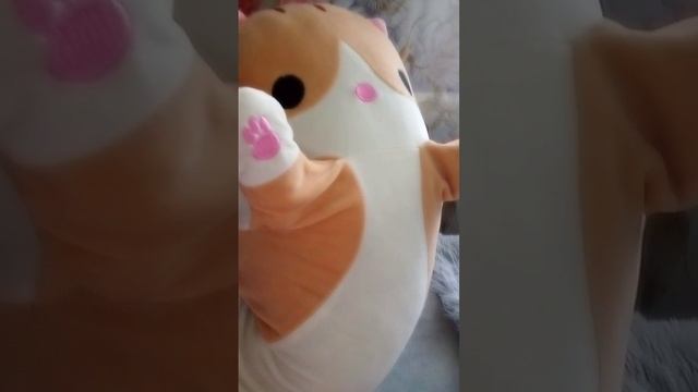 Батончик Сасисончик на связи 
❤️💜💓🤙