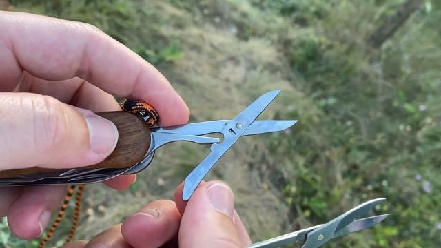 Victorinox Delemont EvoWood 17  мне понравился) смотреть онлайн