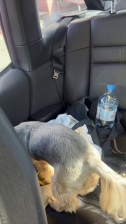 Едем на работу