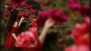 Цыганская песня 2025 — Александр Жмура «Жени меня»🔥 Цы