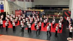 Русская кадриль (линейная) . 3.01.25 г.