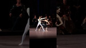 Анна Никулина, Макар Михалкин, Лебединое озеро 19.09.24 #bol