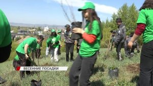 В Улан-Удэ стартовали весенние посадки