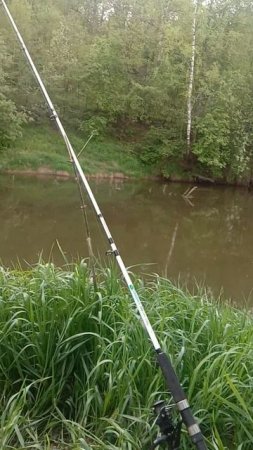 РЫБАЛКА МЫ СНОВА НА НОЛЬКЕ! РЕКА МАЛАЯ КОКШАГА! 17.05.2025 ГОДА! ЧАСТЬ-3 #fishing #рыбалка