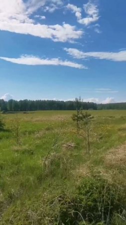 Малая Белоносова, центральный, 23,85 соток
