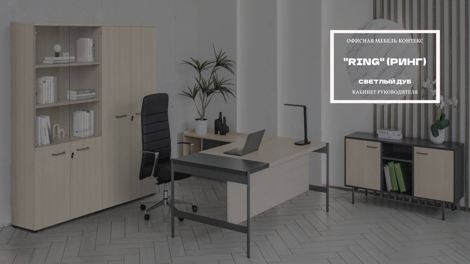 Кабинет руководителя RING РИНГ