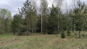 Земельный участок в д.Филипповщина Новгородская область