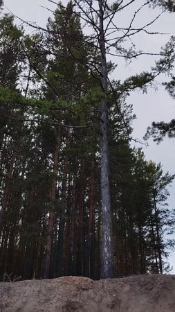 такое случилось