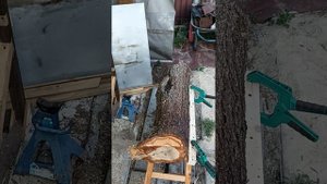 Готовим почву для лесопилки\Мини пилорама для бензопи