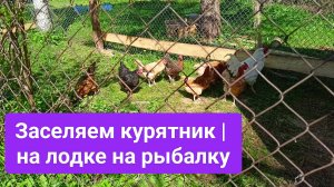Заселяем курятник/
На лодке на рыбалку