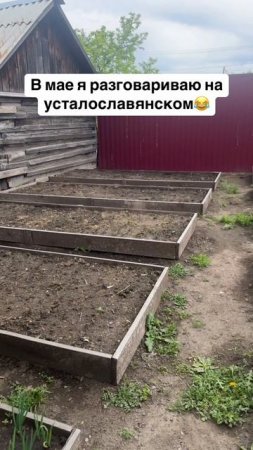 23-05-2025 в огороде