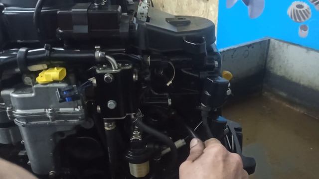 Замер компрессии Tohatsu MFS30 Seamotors Владивосток