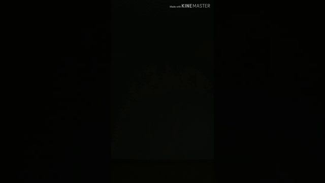 Танец живота под барабаны - Весь танец с лица и со спин?