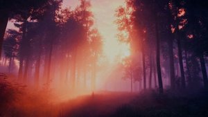 Дерёвце шелепуха)