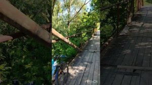#краснодарский_край_май_2025