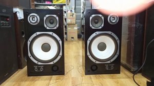 TRIO LS-505 мокрый асфальт