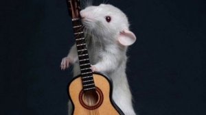 я нож воткну и проверну ( без мата )