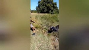 ОНА ТОНЕТ В ТРЯСИНЕ ЧАСТЬ 2...