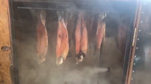 форель холодного копчения