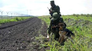 Путин заявил о решении создать буферную зону вдоль границы РФ с Украиной