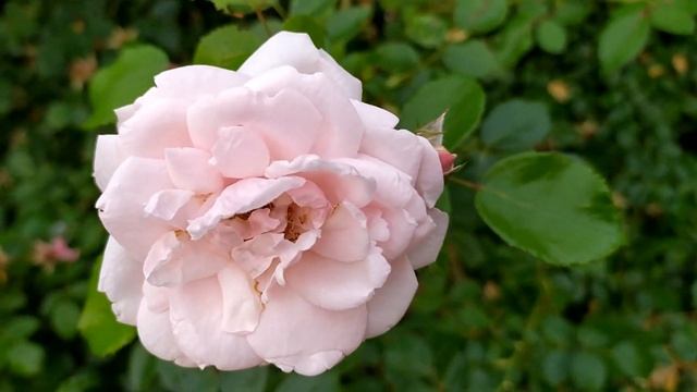 Далекий город 19 серия русская озвучка Турецкий сериал смотреть онлайн