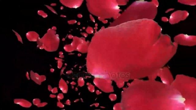 ВАЛЬС ШОСТАКОВИЧА          Автор  VALENTINA смотреть онлайн