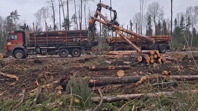 Работа манипулятора Epsilon. Лесовоз Volvo fmx 6х6. Работа как ? смотреть онлайн