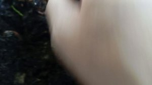 Переработка прошлогодней листвы