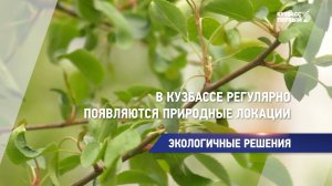 В Кузбассе регулярно появляются природные локации