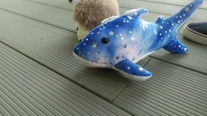 ежик пердожик