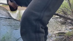 рыбалка в конце мая! клёв стабилен!