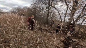 ОХОТА на ЛИСУ на НОРЕ.