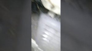 Daf 95 не заводится! Ремонт. Решено.